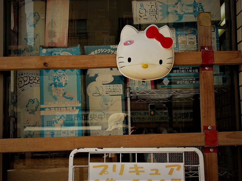 IMG_5312 (2)