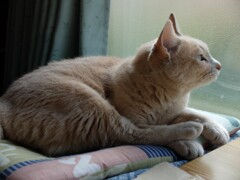 DSCF6557 (2)