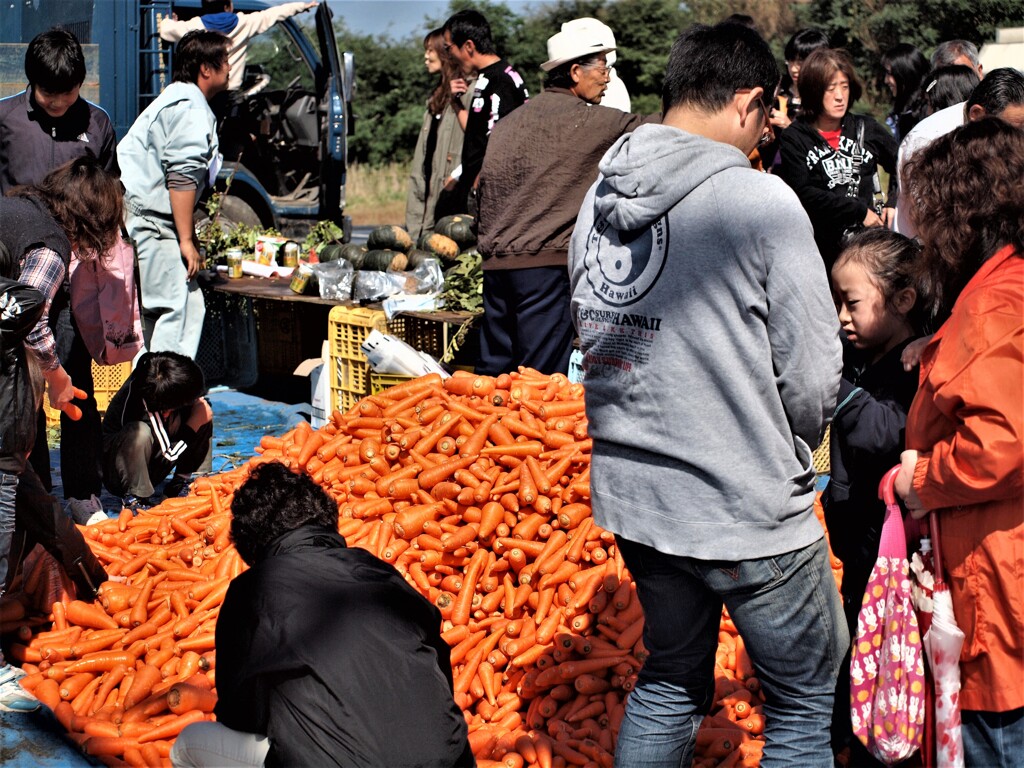 石狩鮭祭 P9267637