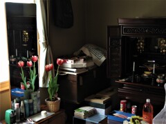 IMG_7682.jpg01