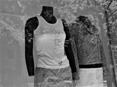 IMG_1858 (3)