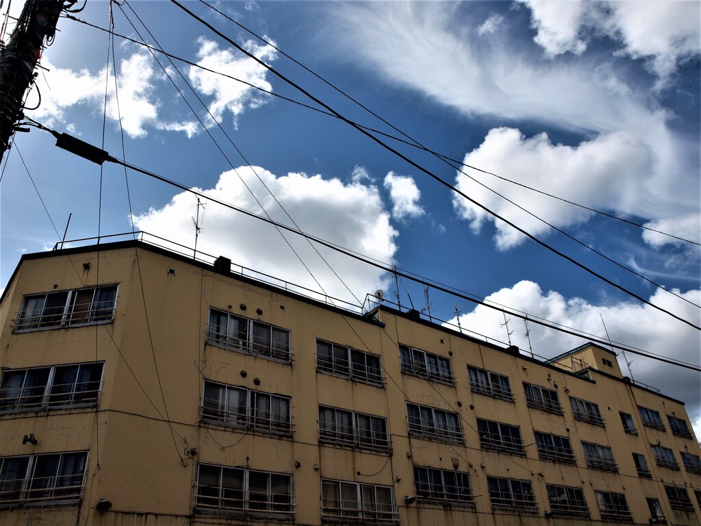 小樽散策　P9085081