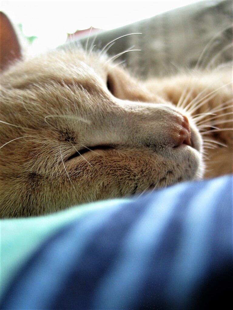 IMG_6647.jpg01