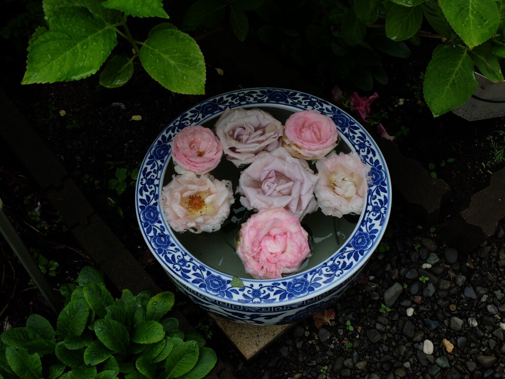 DSCF1181 (2)