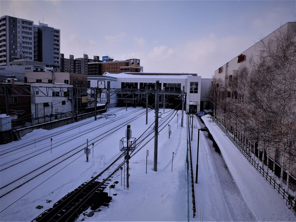 DSCF2490 (2)