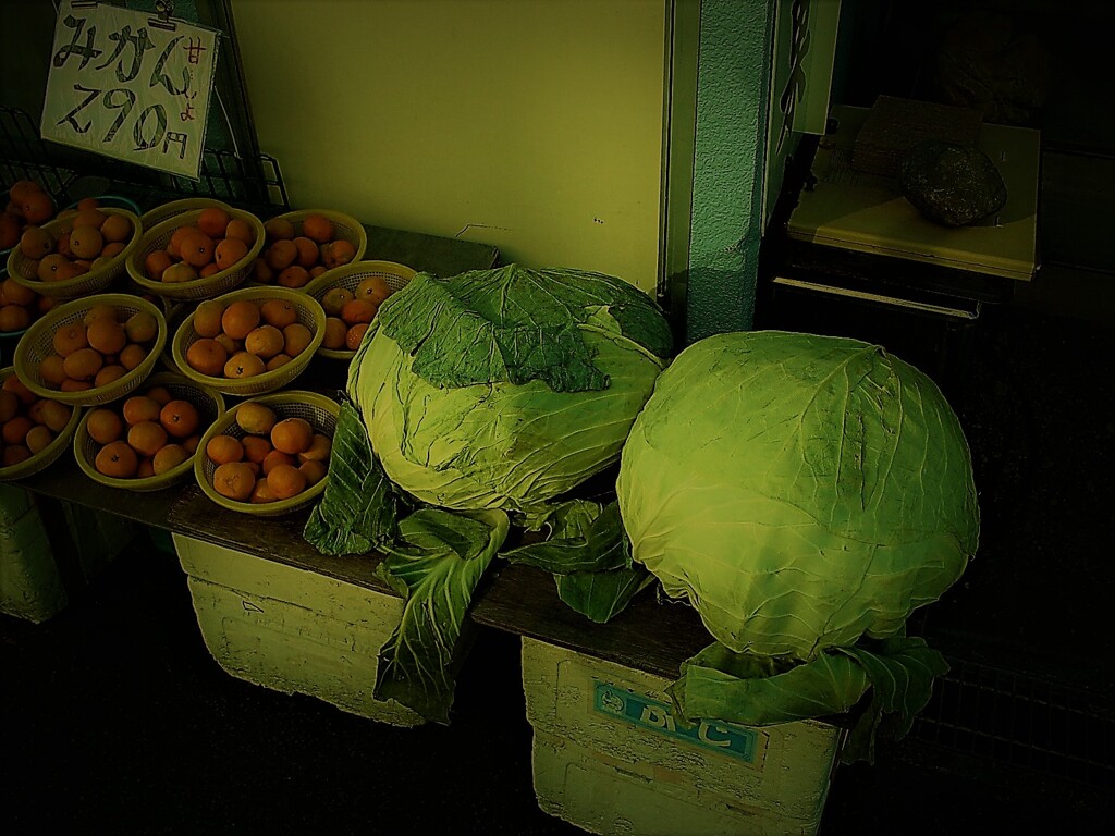 IMG_1572 (4)