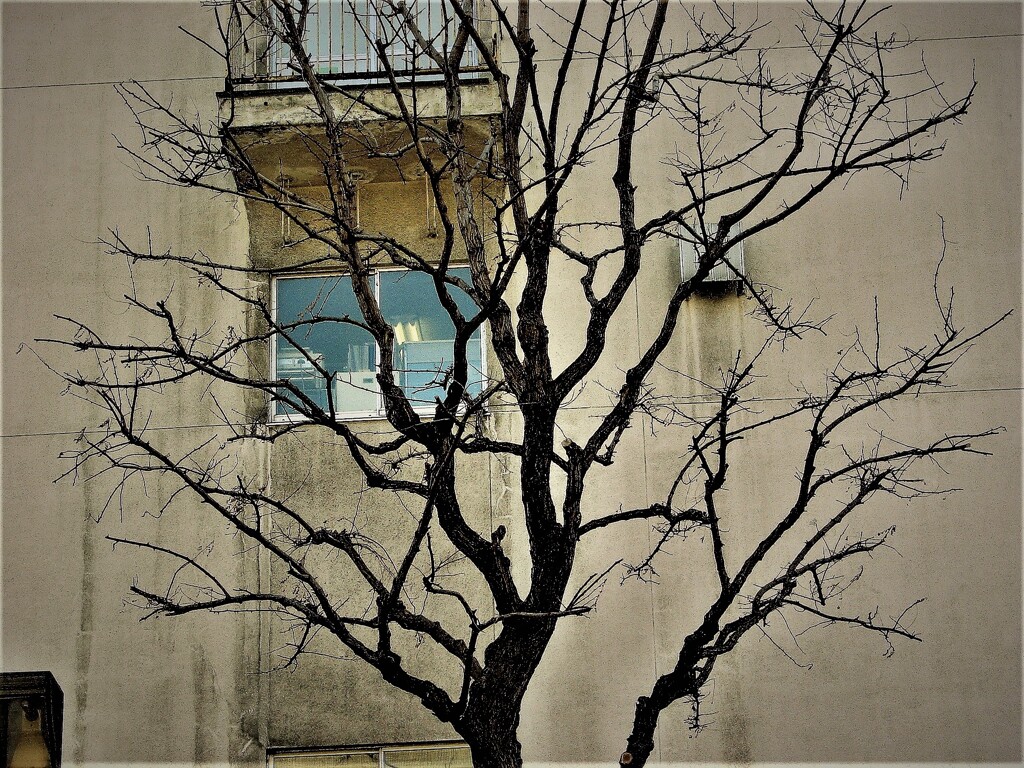 IMG_7300 (3)