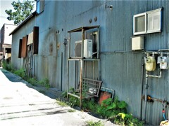 IMG_3624 (2)