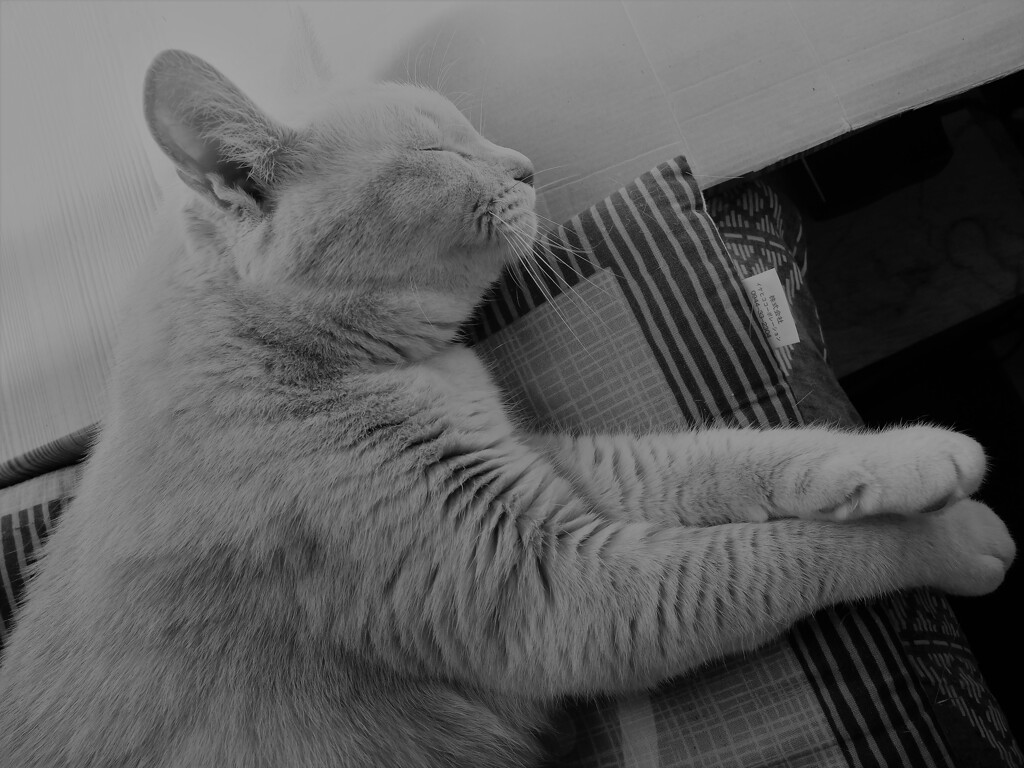DSCF0194 (2)
