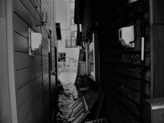 IMG_4018 (2)