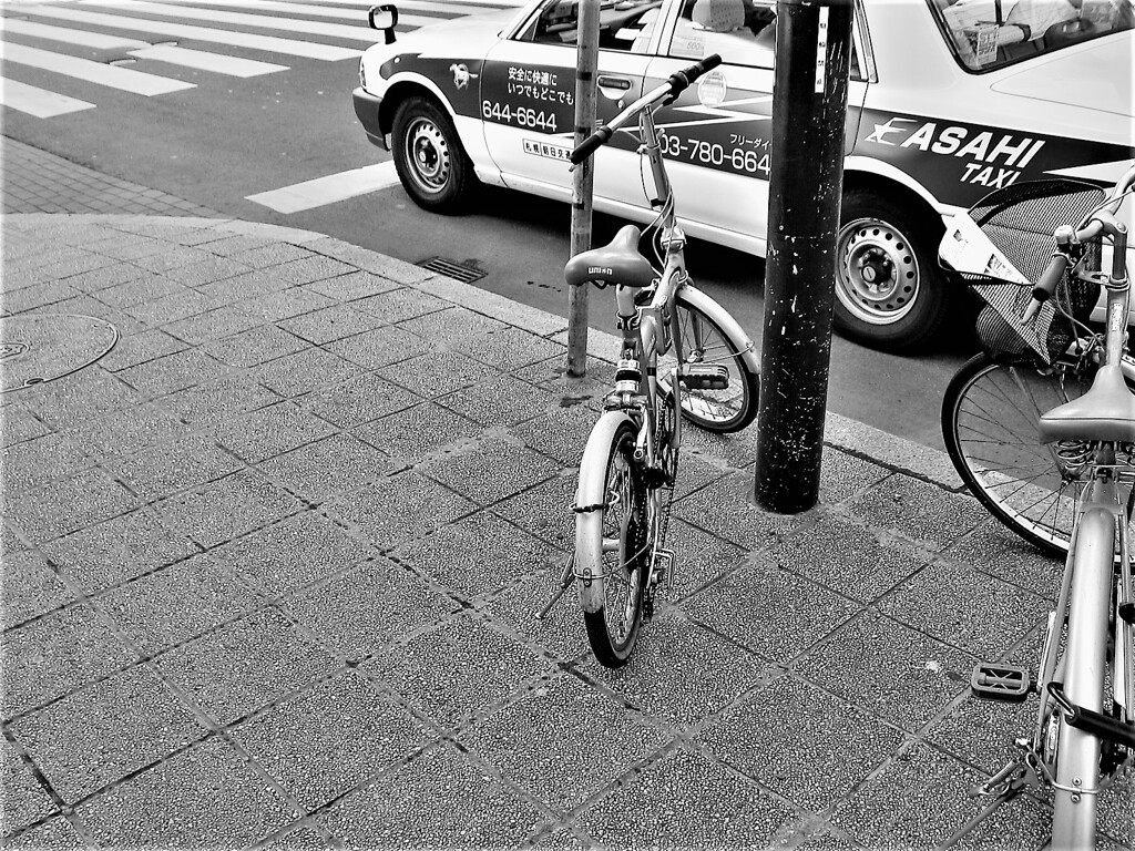 IMG_8822 (2)