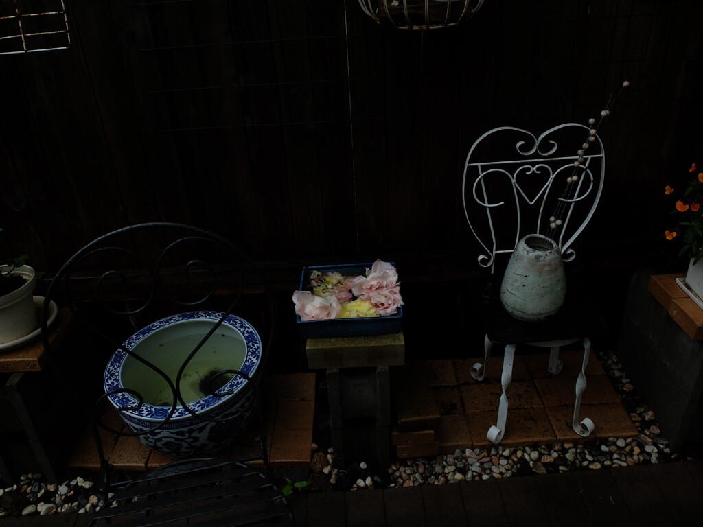 DSCF1902 (2)