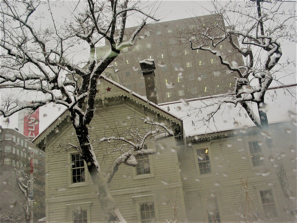IMG_1165 (2)