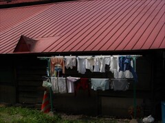 IMG_0290 (2)