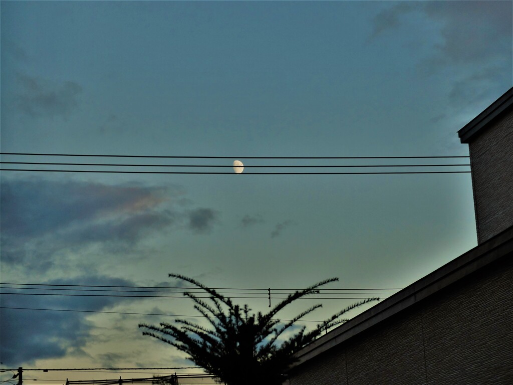 DSCF3571 (2)