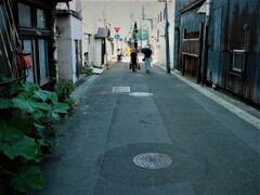 IMG_3728 (2)