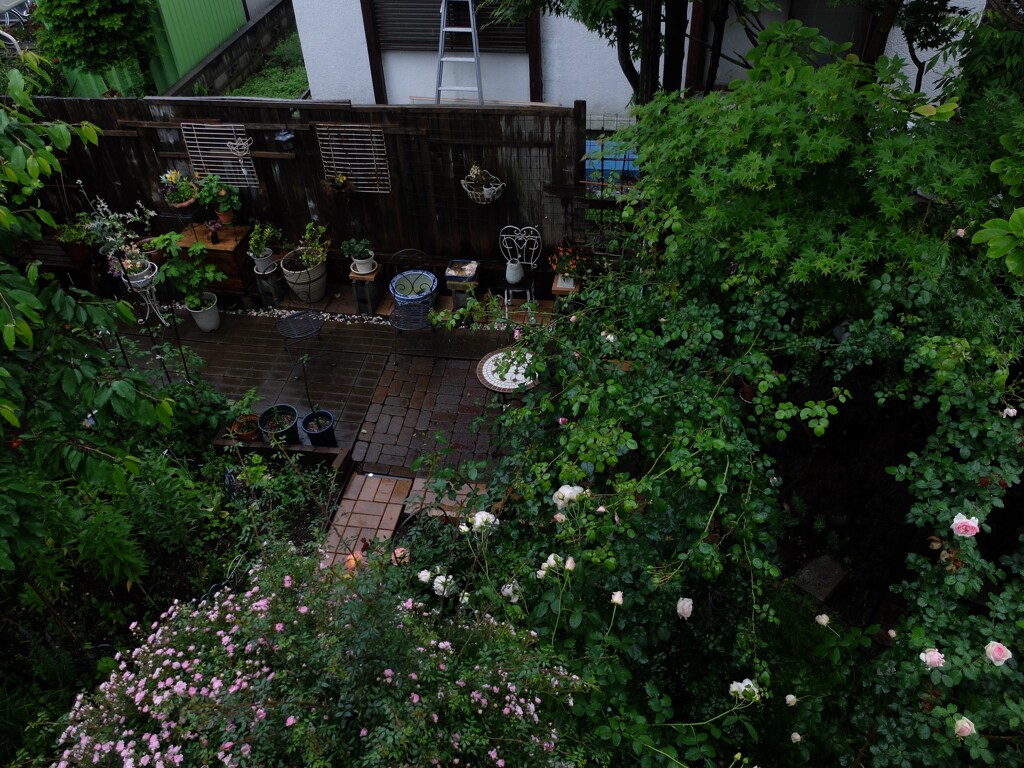 DSCF2166 (2)