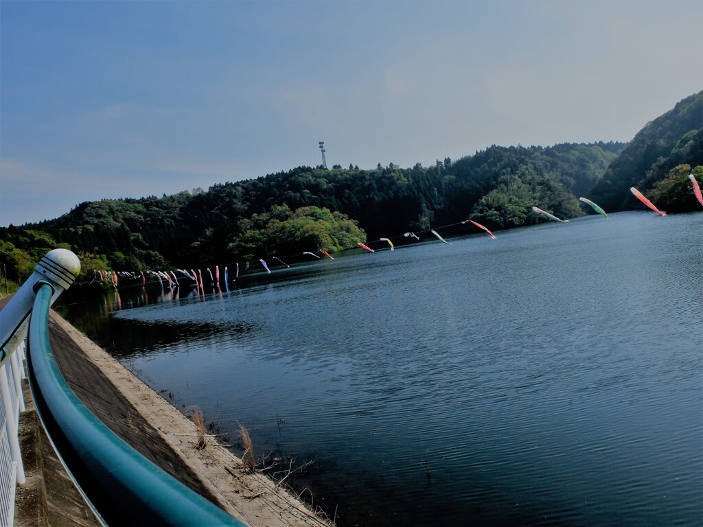 DSCF4267 (2)