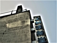 IMG_1028.jpg01