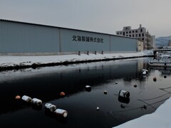 DSCF9602 (2)