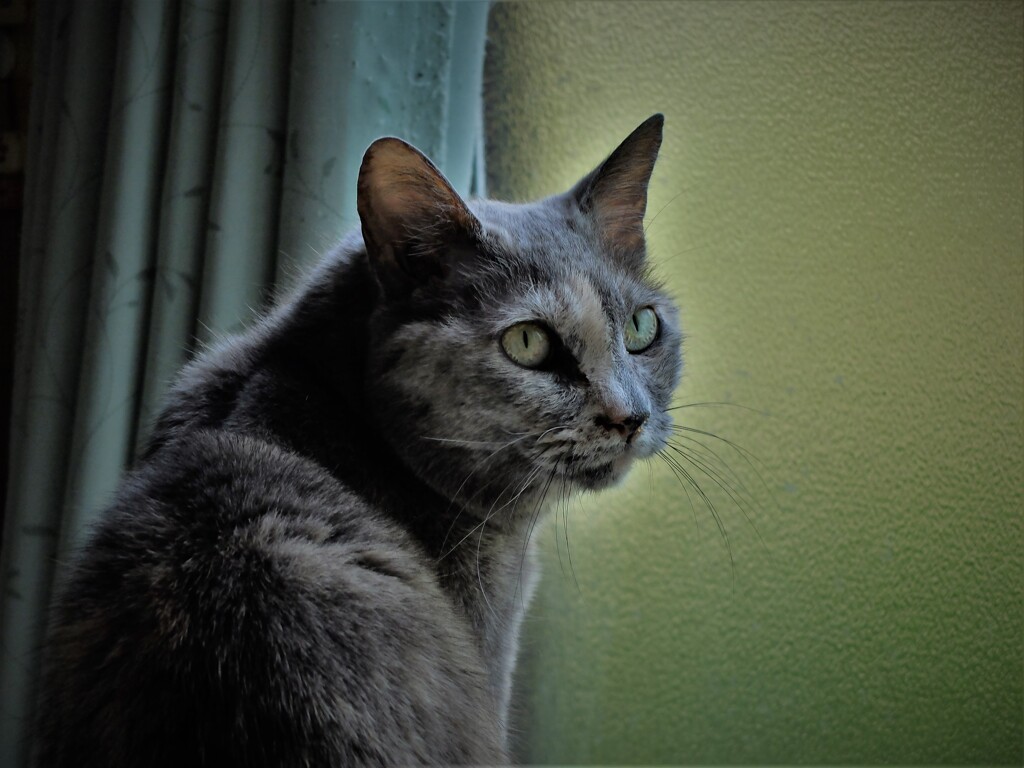 DSCF8914 (2)
