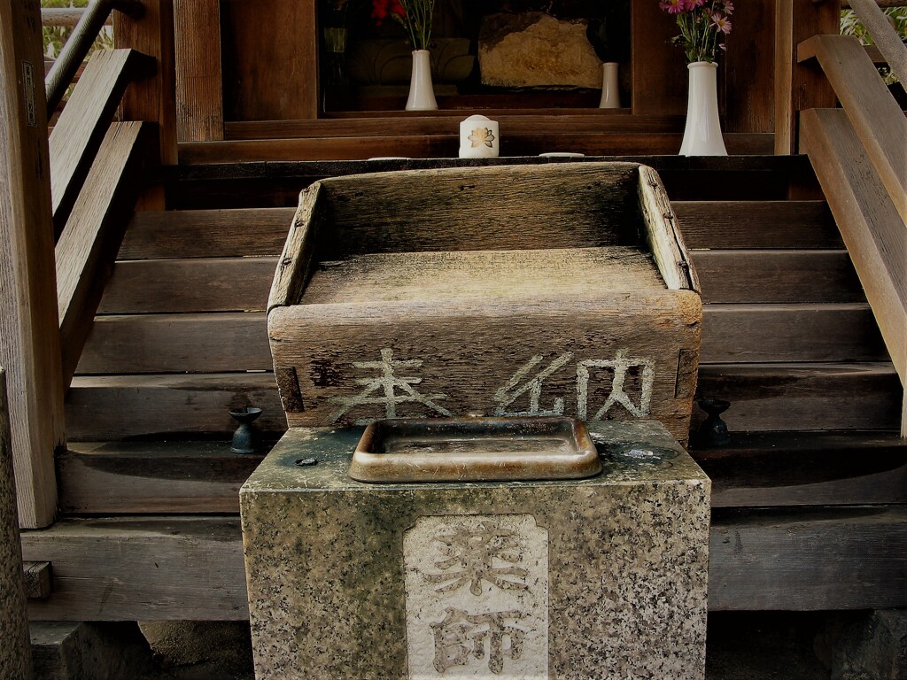 IMG_7969 (2)