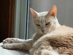 DSCF1084