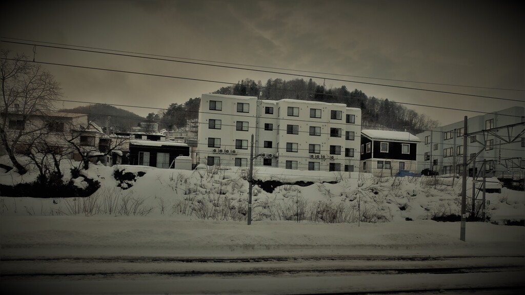 DSCF1642 (3)