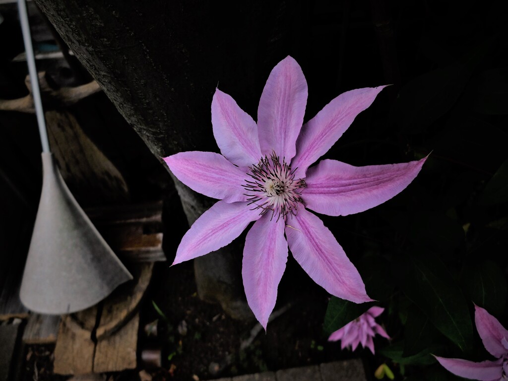 DSCF0936 (2)