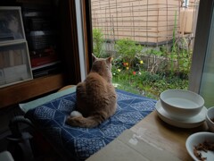 DSCF2072