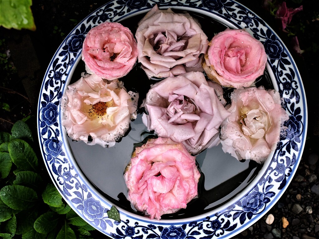 DSCF1183 (2)