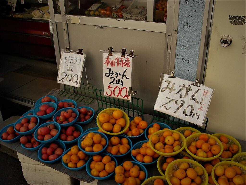 IMG_1573 (2)