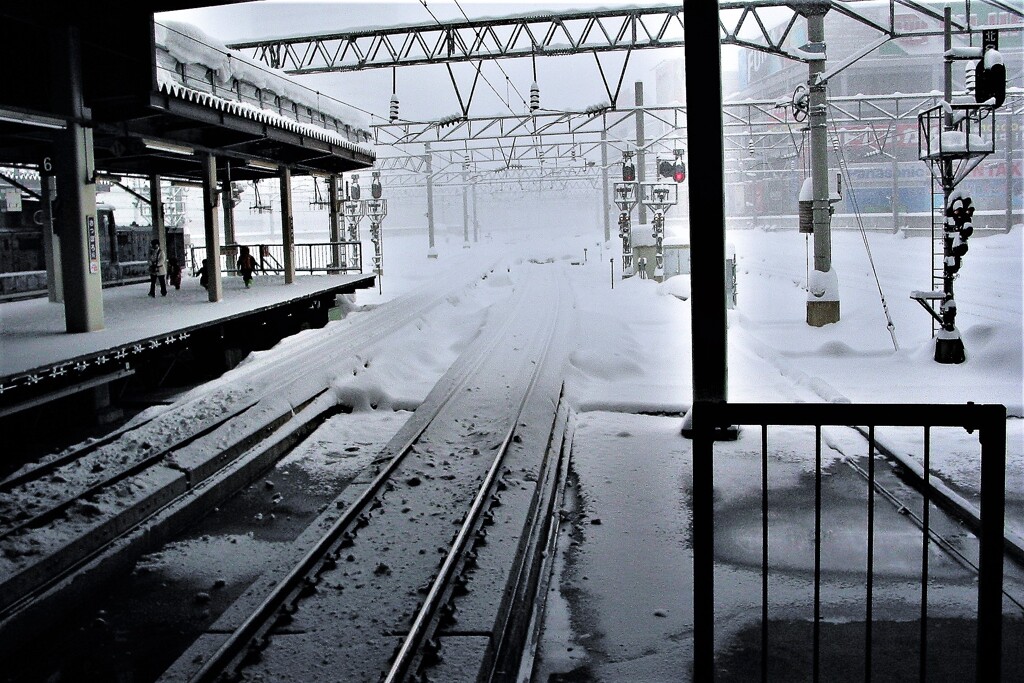 IMG_2702 (3)