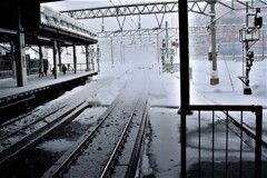 IMG_2702 (3)