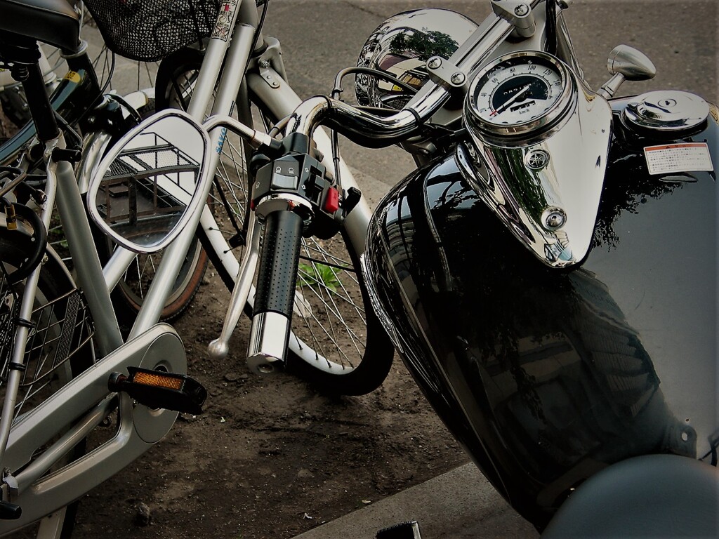 IMG_0390 (2)