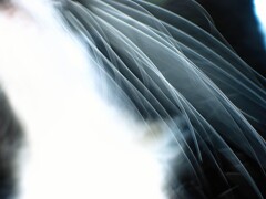 IMG_7159