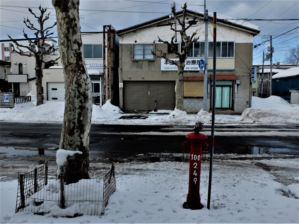 DSCF3308 (2)