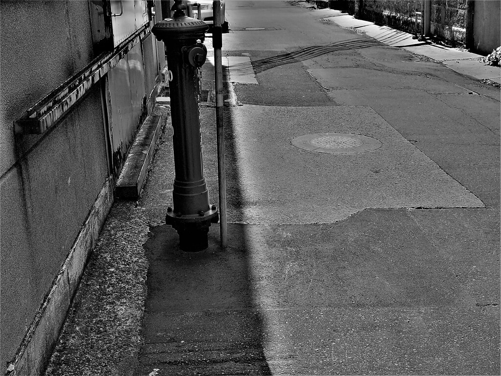 小樽散策　P9085145