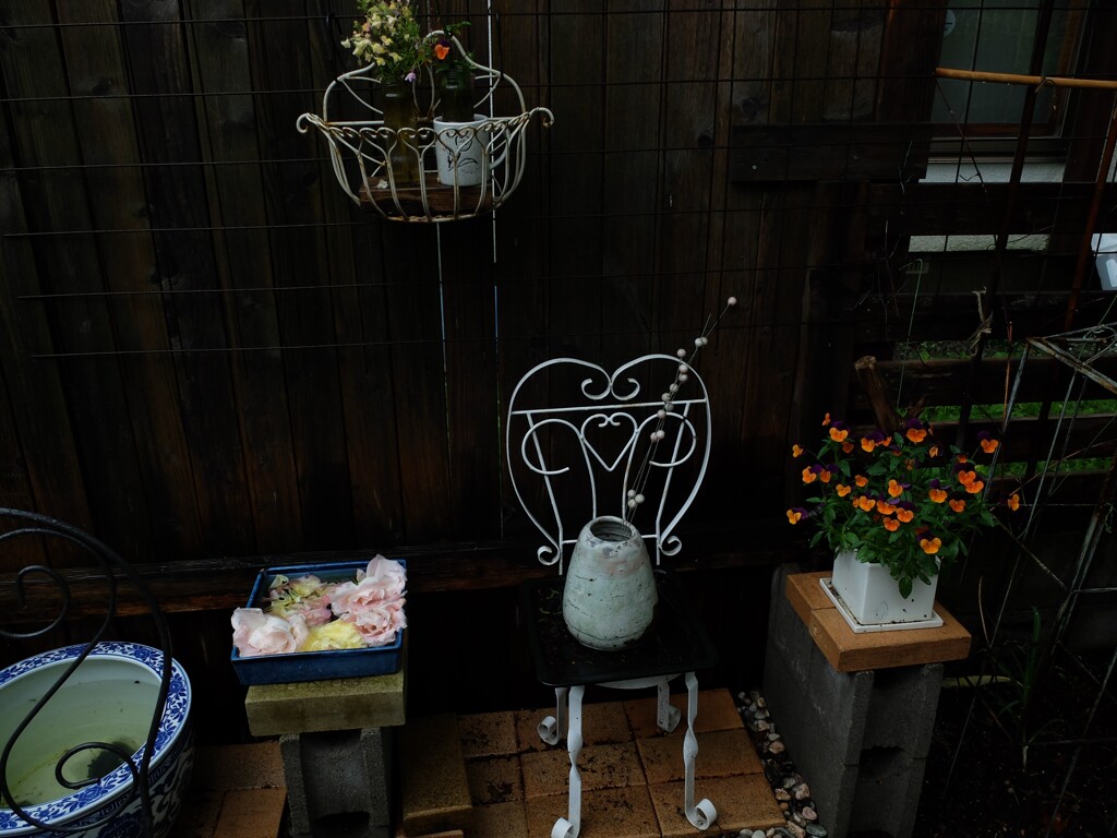 DSCF1901 (2)