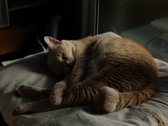 DSCF1132