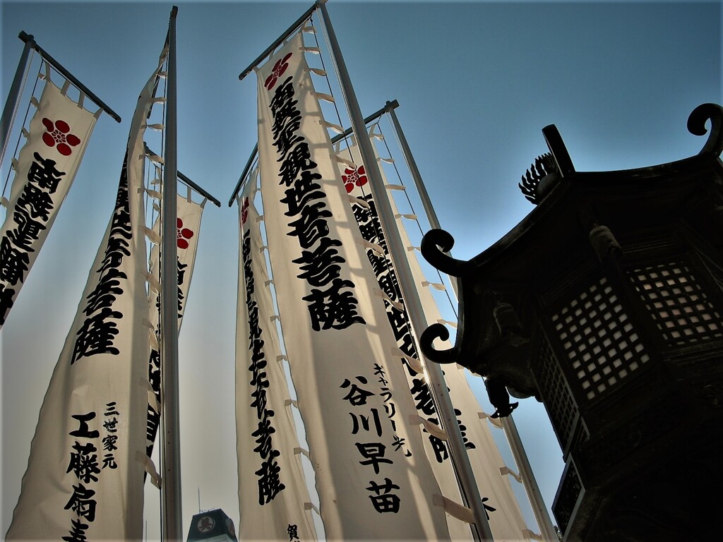 IMG_5002 (2)