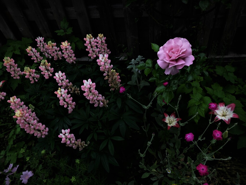 DSCF3147 (2)