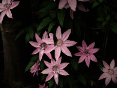 DSCF0926 (2)