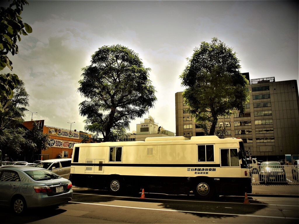 札幌散策　P9014841