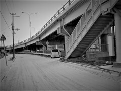 IMG_8908 (2)
