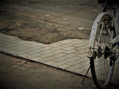 IMG_3896 (2)