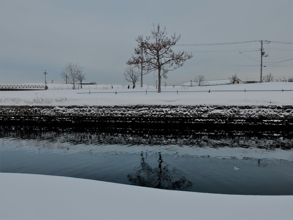 DSCF9199 (2)