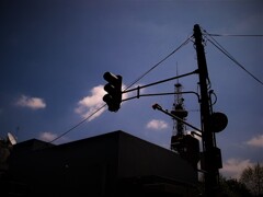 IMG_5684