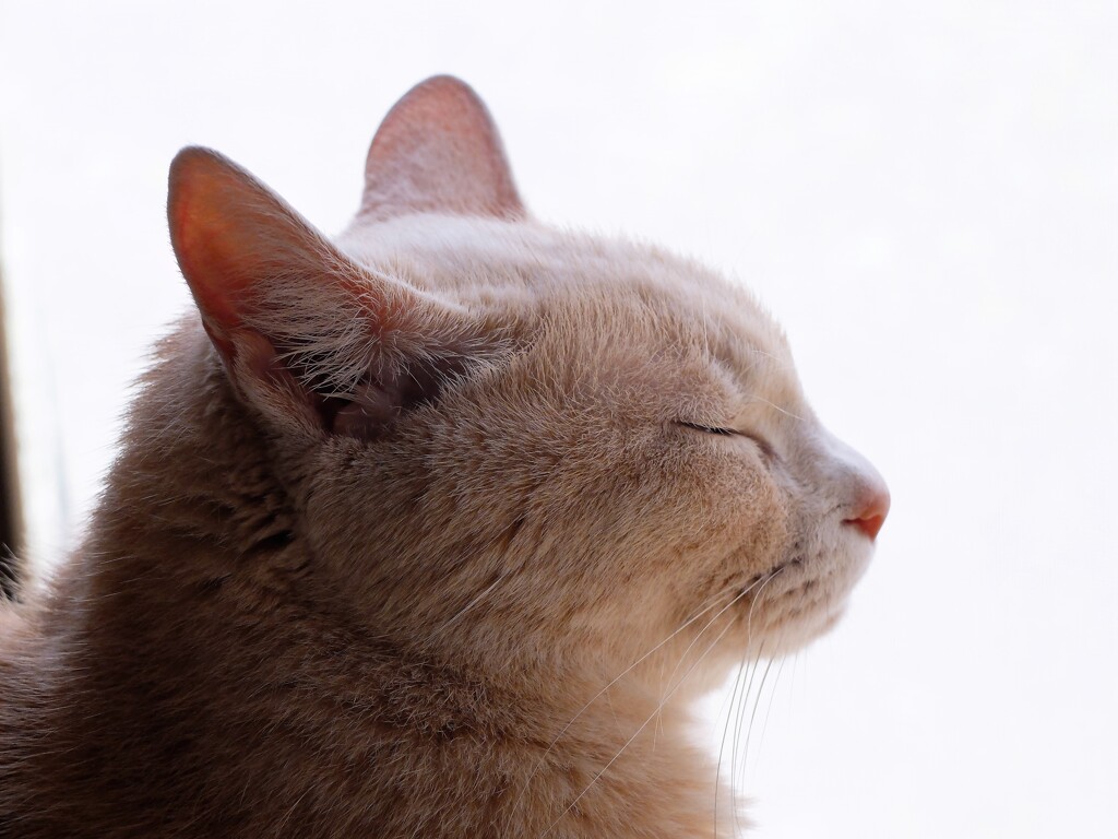 DSCF4053 (2)