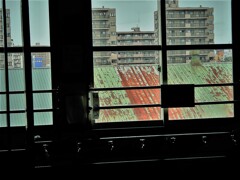 IMG_5175 (3)